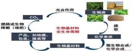 生物基材料前景广阔